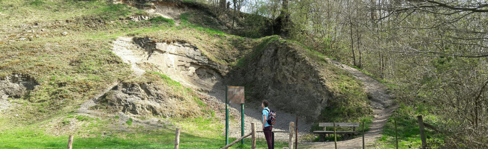 Heimansgroeve